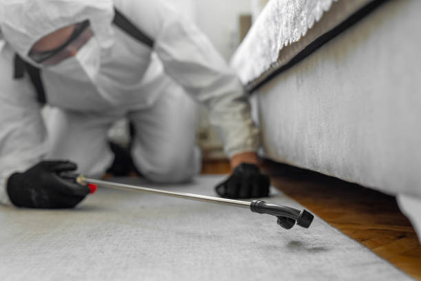 Professional Pest Control technician working in Grandview Heights, OH