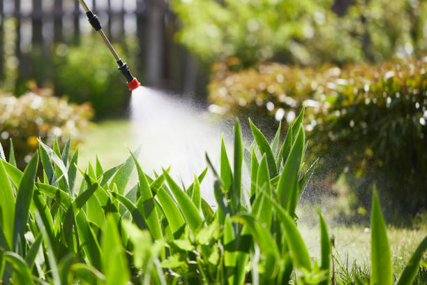 24/7 Emergency Fumigation Services experts in Grandview Heights, OH