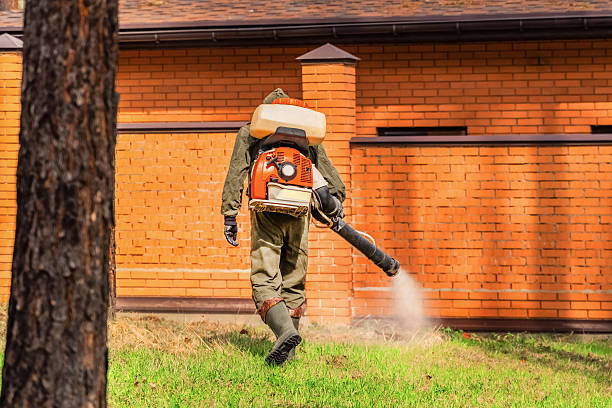 Trusted Mosquito Control service in Grandview Heights, OH - Nex Pest Control